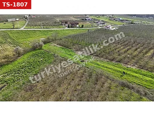 MERİÇ ÇAYRAK'TAN KAZIMİYEDE CAZİP FİYATA SATILIK ARSA&TARLA(dty)